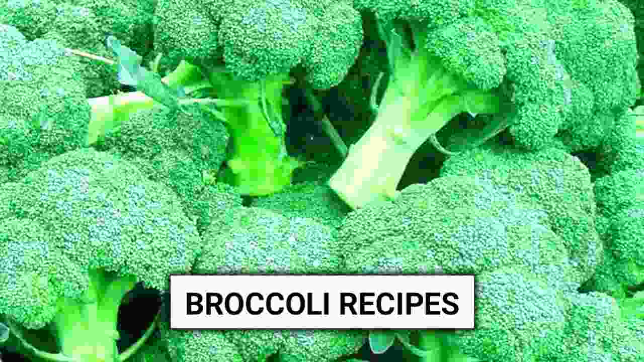 Broccoli Recipes