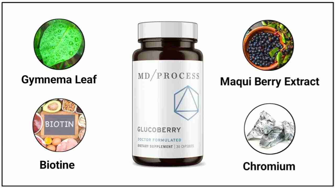 GlucoBerry Ingredients (GlucoBerry Reviews)